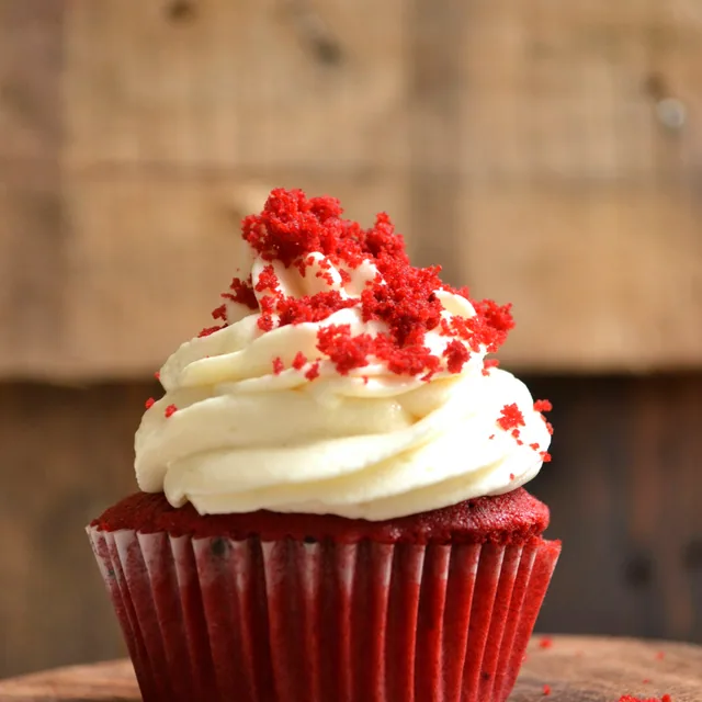 Cocoa cupcake with cream frosting